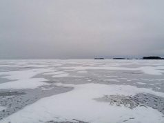 Рыбинец нажился на чужом горе