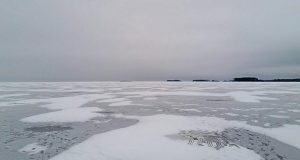 Рыбинец нажился на чужом горе