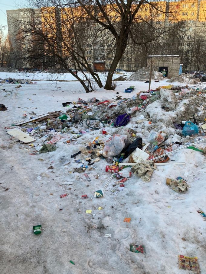 Стихийная свалка под окнами домов в Рыбинске: кто виноват?