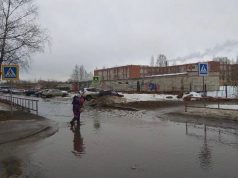 Путь к знаниям лежит через лужи?