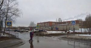 Путь к знаниям лежит через лужи?