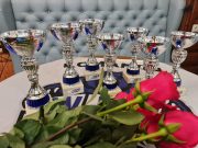 Чирлидеры из Рыбинска везут с областных соревнований семь медалей