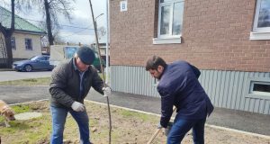 В Казанском районе высаживают новые деревья