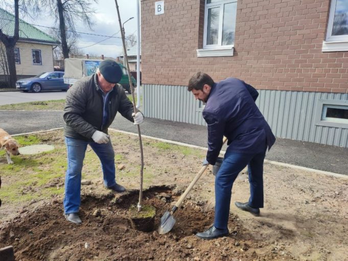 В Казанском районе высаживают новые деревья