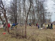 В Рыбинске будут проводить осенние субботники