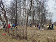 В Рыбинске будут проводить осенние субботники