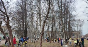 В Рыбинске будут проводить осенние субботники