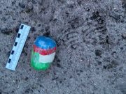 В рыбинскую колонию пытались доставить героин