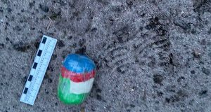 В рыбинскую колонию пытались доставить героин