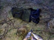 В Рыбинске возбудили уголовное дело в отношении рыбака-браконьера