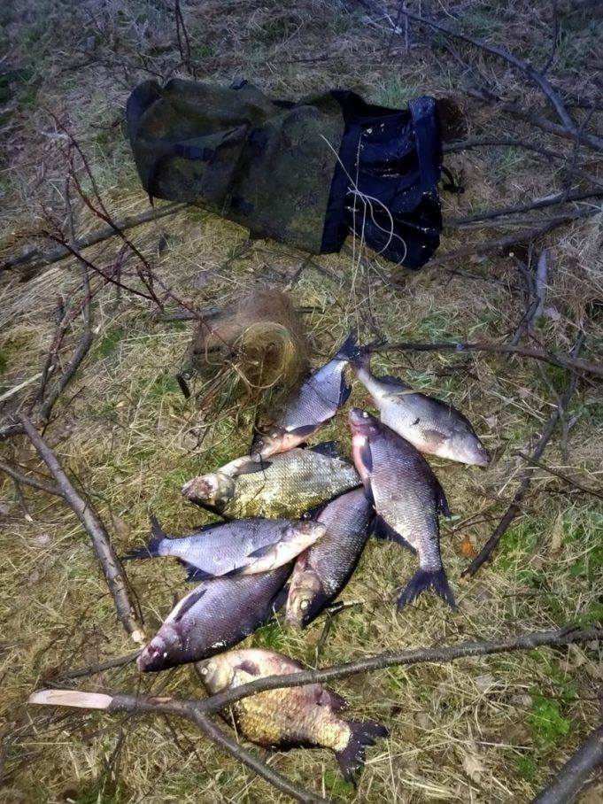 В Рыбинске возбудили уголовное дело в отношении рыбака-браконьера