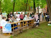 В Рыбинске пройдет фестиваль добрых дел