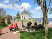 Рыбинск украсят 37 клумб и две объемные цветочные фигуры