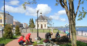 Рыбинск украсят 37 клумб и две объемные цветочные фигуры