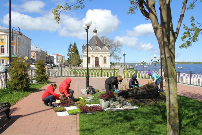 Рыбинск украсят 37 клумб и две объемные цветочные фигуры