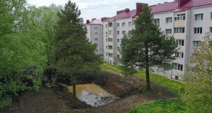 В Рыбинске завершается благоустройства зоны отдыха по инициативе местных жителей