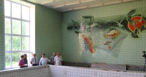 В спорткомплексе «Металлист» заменили старые окна в бассейне с малой ванной