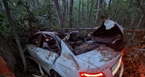 Под Рыбинском в ДТП с лосем погибла молодая девушка