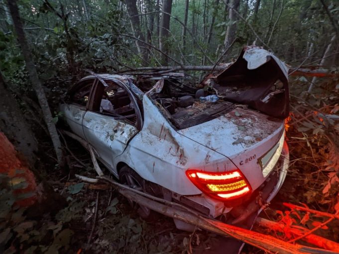 Под Рыбинском в ДТП с лосем погибла молодая девушка