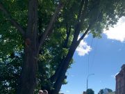 Общественники Рыбинска заставили себя услышать