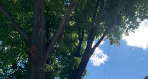 Общественники Рыбинска заставили себя услышать