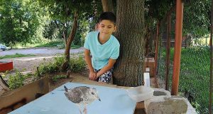 В Рыбинске появился настоящий птичий Айболит