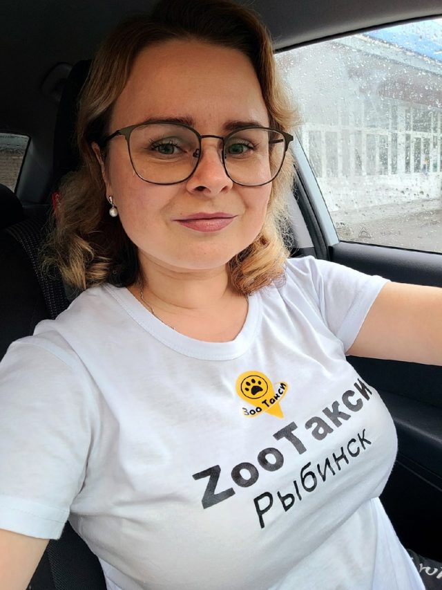 Помощь животным на колесах