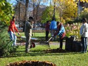 В Карякинском саду высаживают тюльпаны