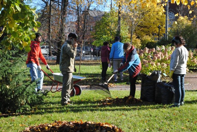 В Карякинском саду высаживают тюльпаны