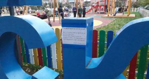 «Маленький Рыбинск» начнут патрулировать члены Общественной палаты города