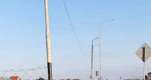 В Рыбинске живет один из лучших полицейских-кинологов