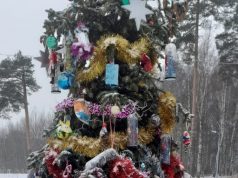 В Рыбинске выбрали самые красивые объекты, украшенные руками горожан