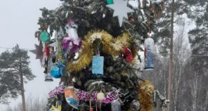 В Рыбинске выбрали самые красивые объекты, украшенные руками горожан