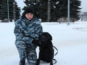 Полицейский и его четвероногие напарники