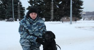 Полицейский и его четвероногие напарники