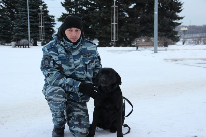Полицейский и его четвероногие напарники