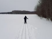 В Рыбинске состоится новогодняя лыжная гонка для детей и подростков