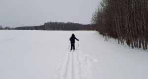 В Рыбинске состоится новогодняя лыжная гонка для детей и подростков