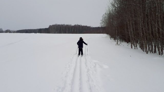 В Рыбинске состоится новогодняя лыжная гонка для детей и подростков