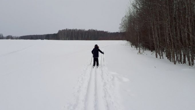 В Рыбинске состоится новогодняя лыжная гонка для детей и подростков