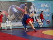 В Рыбинске состоится Всероссийский турнир по самбо памяти Вадима Яковлева