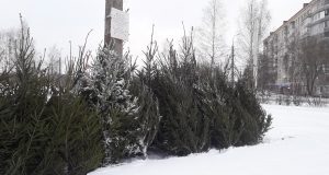 Рассказываем, где в Рыбинске работают новогодние базары