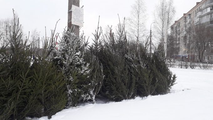 Рассказываем, где в Рыбинске работают новогодние базары