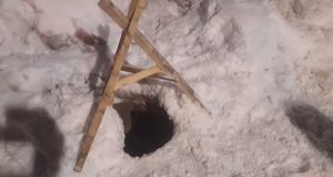 В Рыбинске полиция проводит проверку по информации СМИ о травмировании школьницы