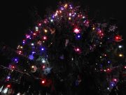 Рыбинцы кооперируются, чтобы весело провести новогоднюю ночь