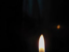 С начала этого года на территории Рыбинска и Рыбинского района произошло 12 пожаров