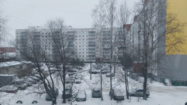 Рыбинцы смогут узнать историю Скомороховой Горы на библиопрогулке