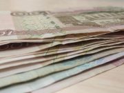 Покупка щенка обернулась для семьи из Рыбинска финансовыми потерями