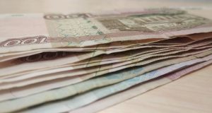 Покупка щенка обернулась для семьи из Рыбинска финансовыми потерями