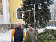 В рамках акции «Елкомобиль» удалось собрать большое количество отслуживших новогодних елок